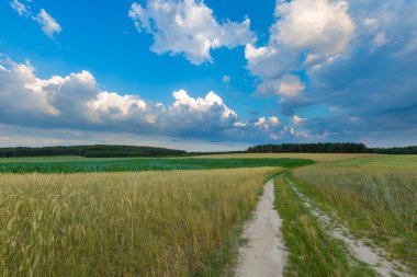 Polonya alanları üzerinde güzel fırtınalı gökyüzü