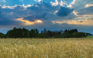 Polonya alanları üzerinde güzel fırtınalı gökyüzü