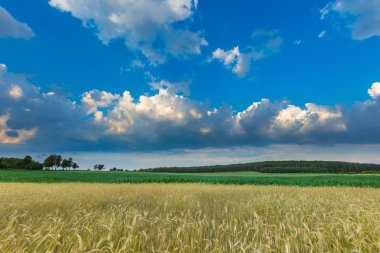 Polonya alanları üzerinde güzel fırtınalı gökyüzü