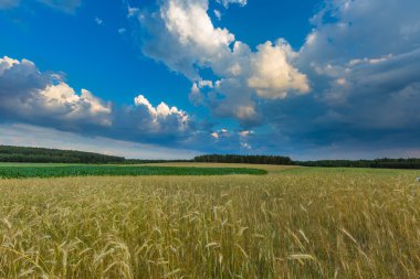 Polonya alanları üzerinde güzel fırtınalı gökyüzü