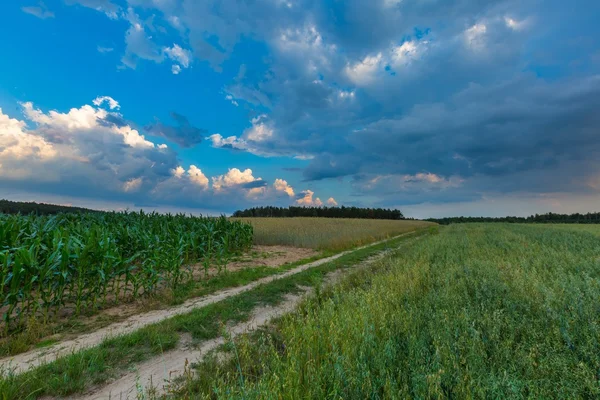 Bel cielo tempestoso sui campi in Polonia — Foto Stock