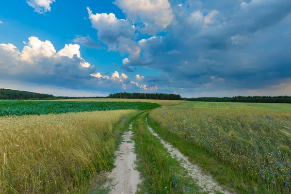 Mooie stormachtige hemel over velden in Polen — Stockfoto