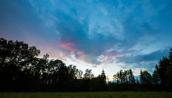 Bella estate colorato tramonto sul prato verde e bosco — Foto Stock