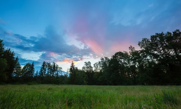 Beau coucher de soleil coloré d'été sur la prairie verte et la forêt — Photo