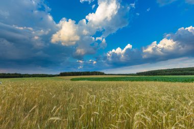Polonya alanları üzerinde güzel fırtınalı gökyüzü