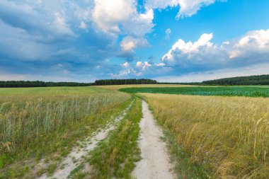 Polonya alanları üzerinde güzel fırtınalı gökyüzü