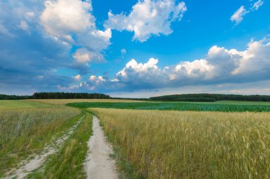 Polonya alanları üzerinde güzel fırtınalı gökyüzü