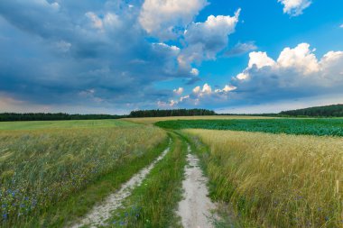 Polonya alanları üzerinde güzel fırtınalı gökyüzü