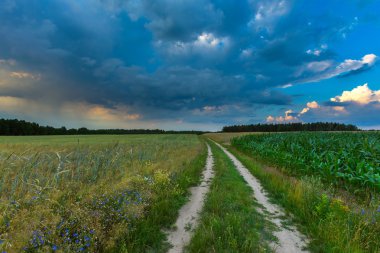 Polonya alanları üzerinde güzel fırtınalı gökyüzü