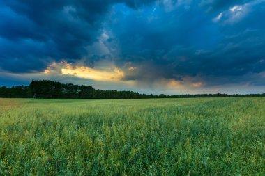 Polonya alanları üzerinde güzel fırtınalı gökyüzü