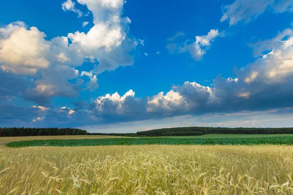 Mooie stormachtige hemel over velden in Polen — Stockfoto