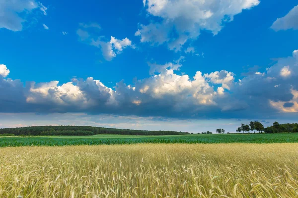 Mooie stormachtige hemel over velden in Polen — Stockfoto