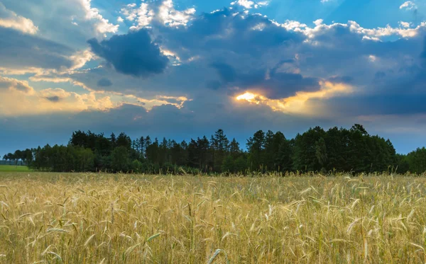 Красивое бурное небо над полями Польши — стоковое фото
