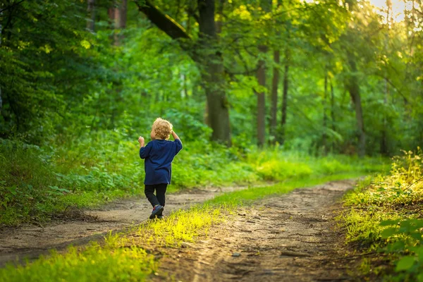 Μικρό ξανθό αγόρι που παίζει στο δάσος — Φωτογραφία Αρχείου