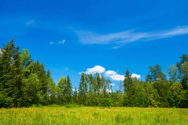 青い空と雲と美しい夏の日 — ストック写真