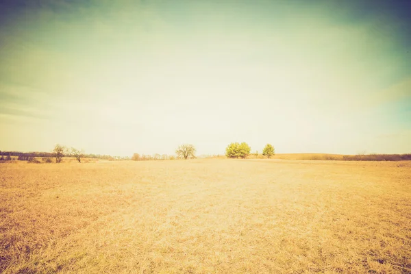 Винтажное фото вспаханного полевого пейзажа — стоковое фото