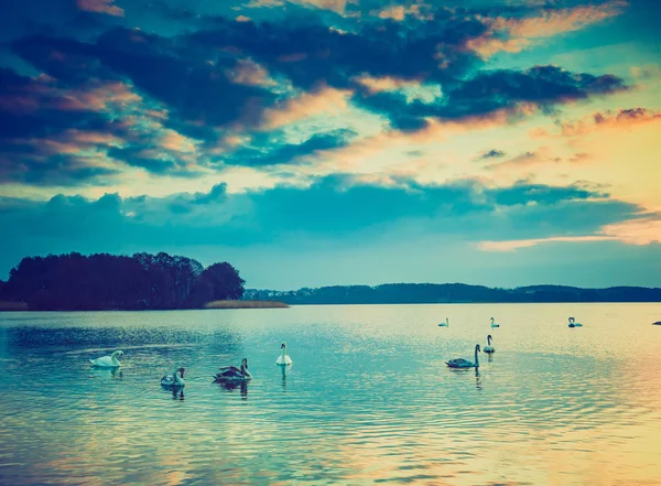 Foto vintage del atardecer sobre un lago tranquilo —  Fotos de Stock