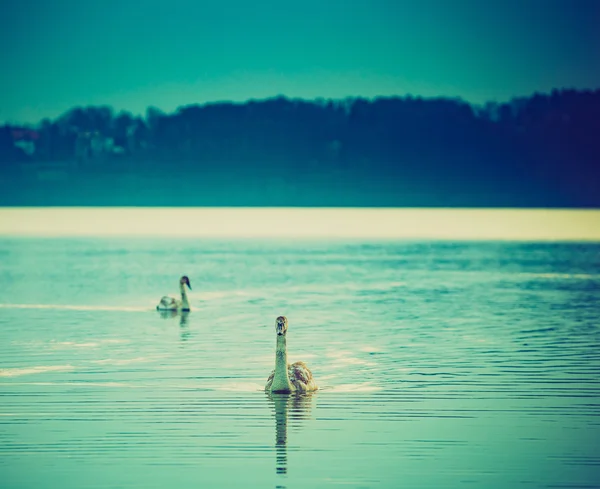 Vintage photo of sunset over calm lake — Stock Photo, Image