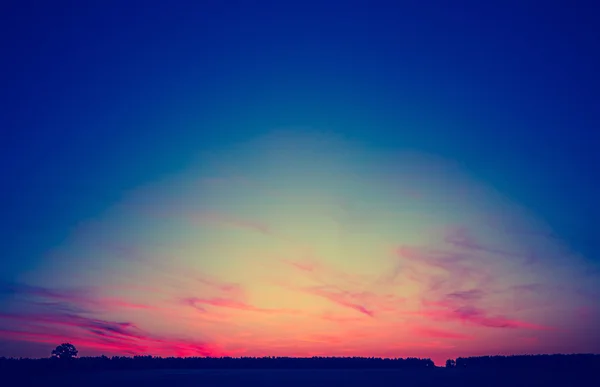 夏の畑に夕日のビンテージ写真. — ストック写真