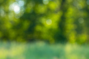 doğal bokeh arka plan. 