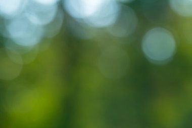 doğal bokeh arka plan. 