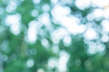 doğal bokeh arka plan. 