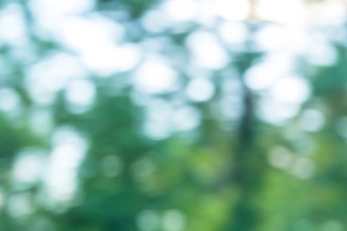 doğal bokeh arka plan. 