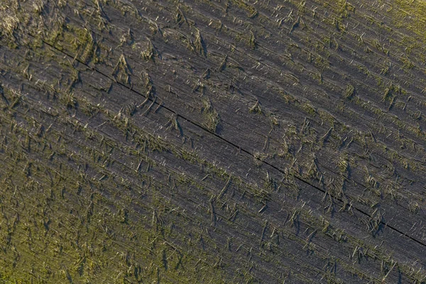 Vecchio sfondo in legno distrutto . — Foto Stock