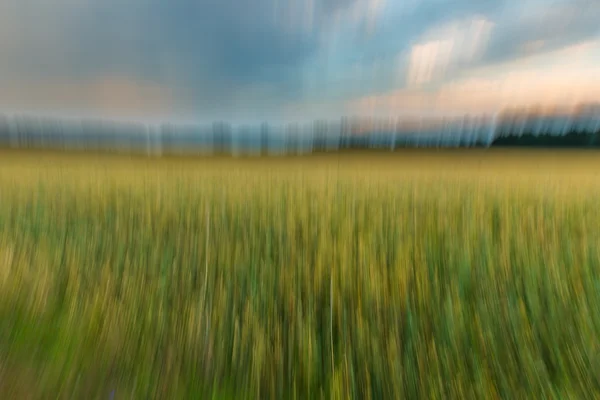 Defocused landscape - field at sunset — Stock Photo, Image