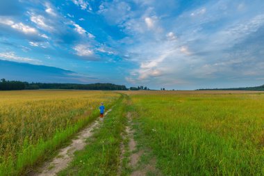 Gün batımında bulutlu gökyüzü altında güzel tahıl alanları
