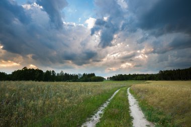 Yaz peyzaj alanları üzerinde fırtınalı gökyüzü ile