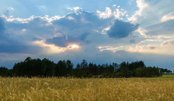 Zomer landschap met stormachtige lucht over velden — Stockfoto