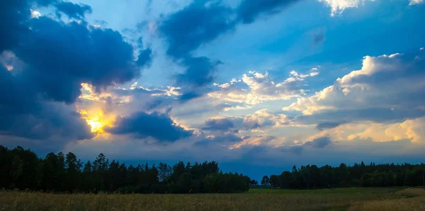 필드에 폭풍우 치는 하늘 여름 풍경 — 스톡 사진