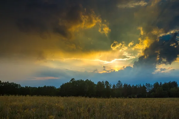 필드에 폭풍우 치는 하늘 여름 풍경 — 스톡 사진