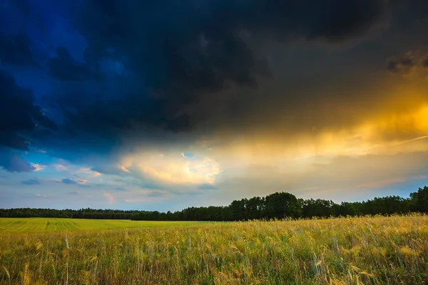 Sommerlandschaft mit stürmischem Himmel über Feldern — Stockfoto