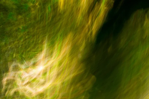 Larga exposición a la abstracción del bosque verde en verano — Foto de Stock