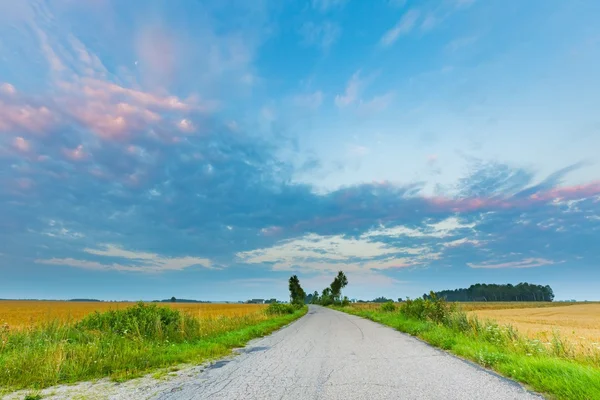 Sunrise landschap van oude asphalt road in de buurt van velden in Poolse platteland. — Stockfoto