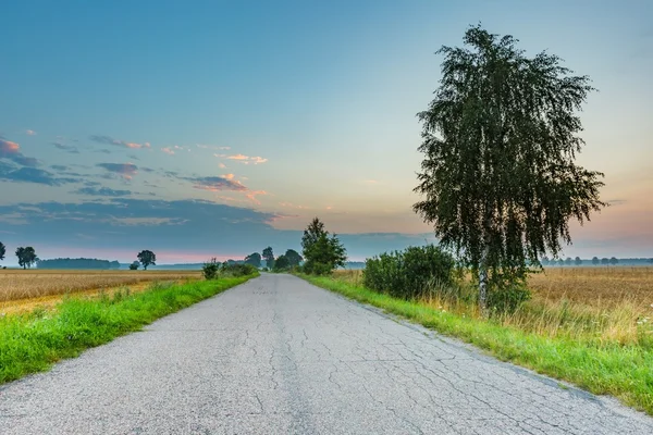 Sunrise landscape of old asphalt road near fields in polish countryside. — Stock Photo, Image