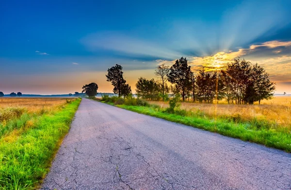 Summer landscape with asphalt road on fields — Stock Photo, Image