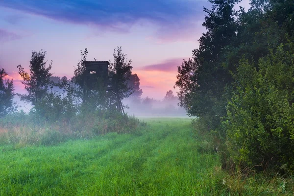 Paisagem selvagem de prados nebulosos — Fotografia de Stock
