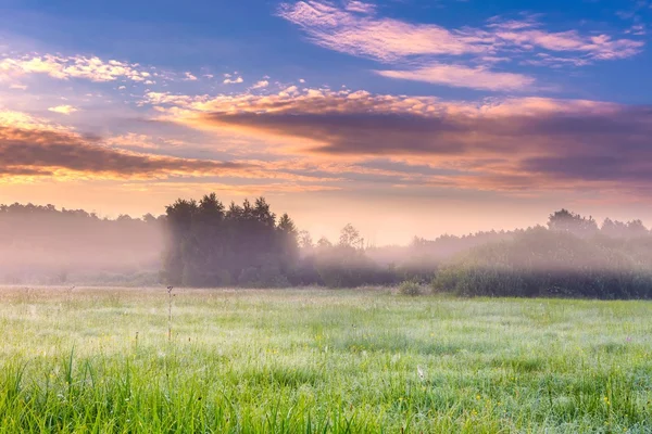 ポーランドの霧の草原に鮮やかな風景 — ストック写真