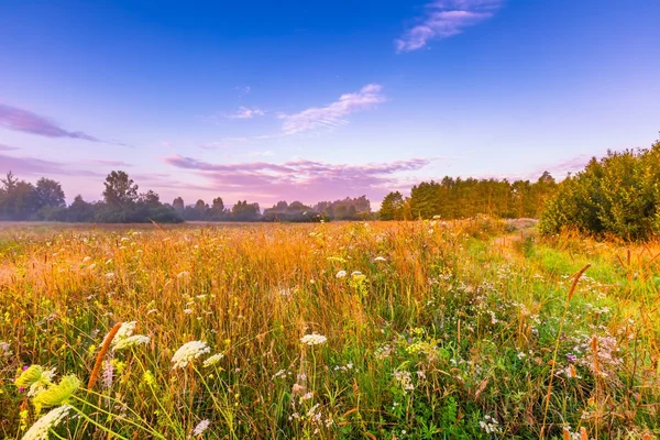 Vibrant landscape with foggy meadow in Poland — Stock Photo, Image