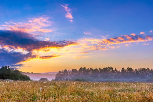 Levande landskap med dimmigt äng i Polen — Stockfoto