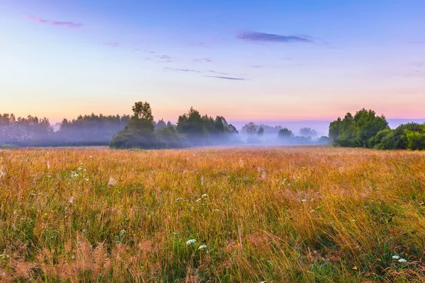 Paisagem vibrante com prado nebuloso na Polônia — Fotografia de Stock