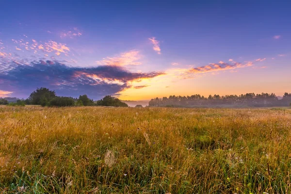 Paisaje vibrante con prado brumoso en Polonia — Foto de Stock
