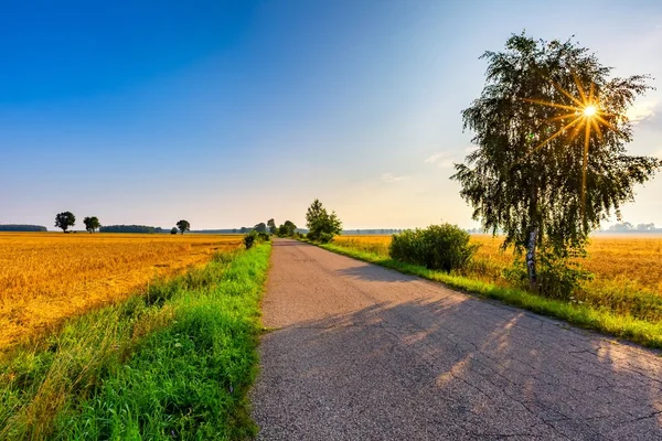 Vibrant sunrise on polish countryside. — Stock Photo, Image