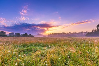 Gündoğumu, el değmemiş vahşi çayır ile sakin ve huzurlu yer