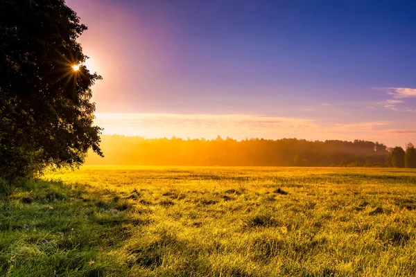 Mysterious and hazy meadow landscape photographed in Poland — Stock Photo, Image