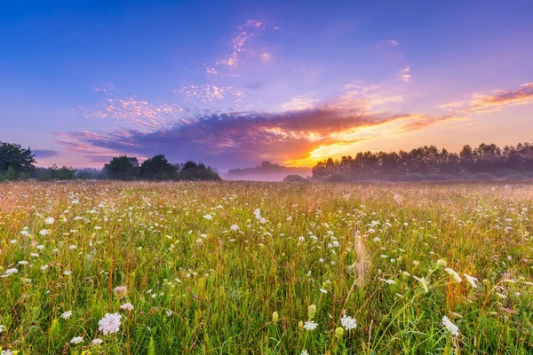 Gündoğumu, el değmemiş vahşi çayır ile sakin ve huzurlu yer — Stok fotoğraf