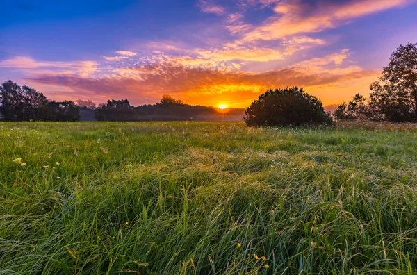 Vibrante amanecer de verano sobre niebla, prado mágico — Foto de Stock